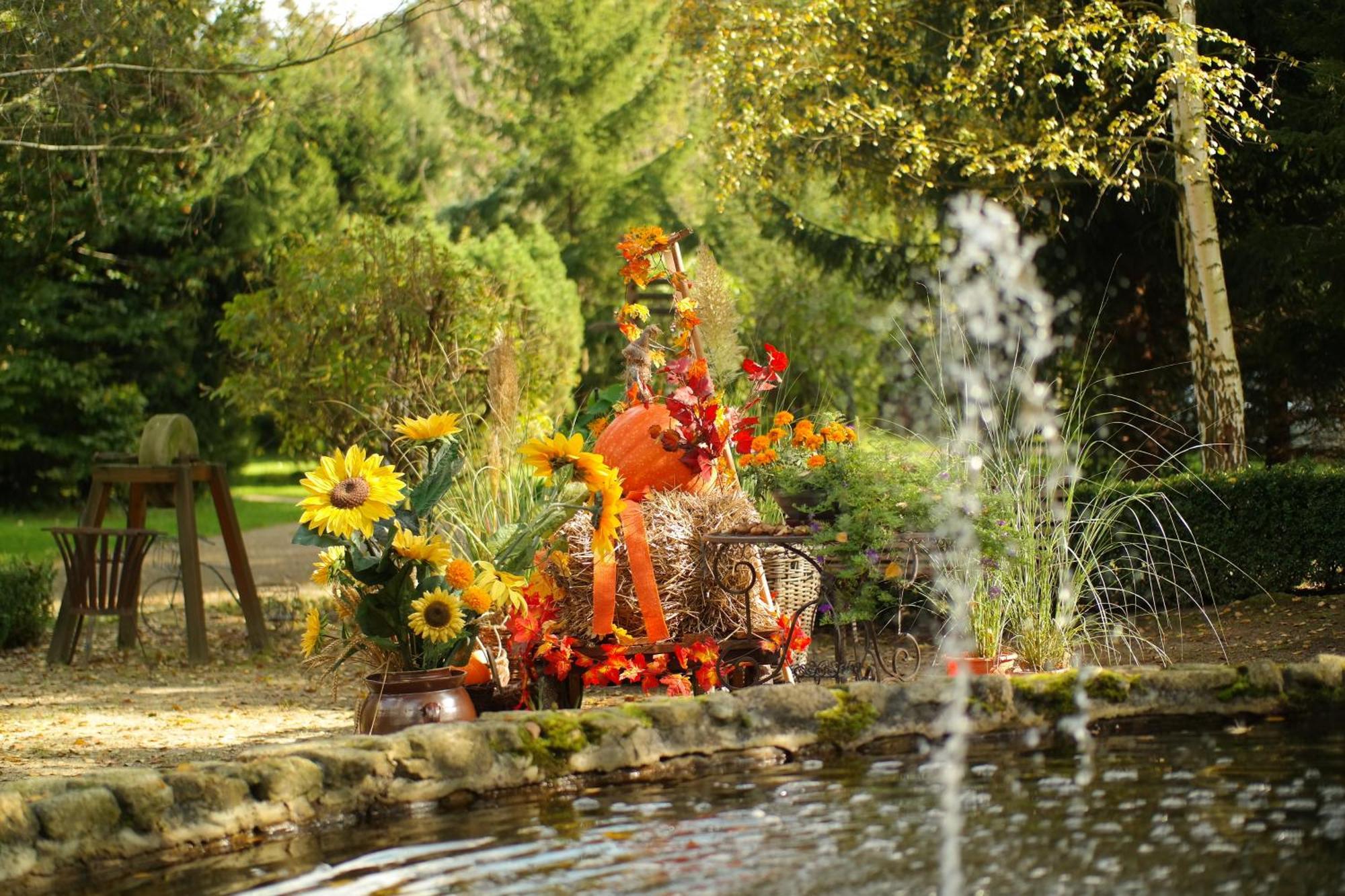 Harzer Feriengarten Quedlinburg Buitenkant foto