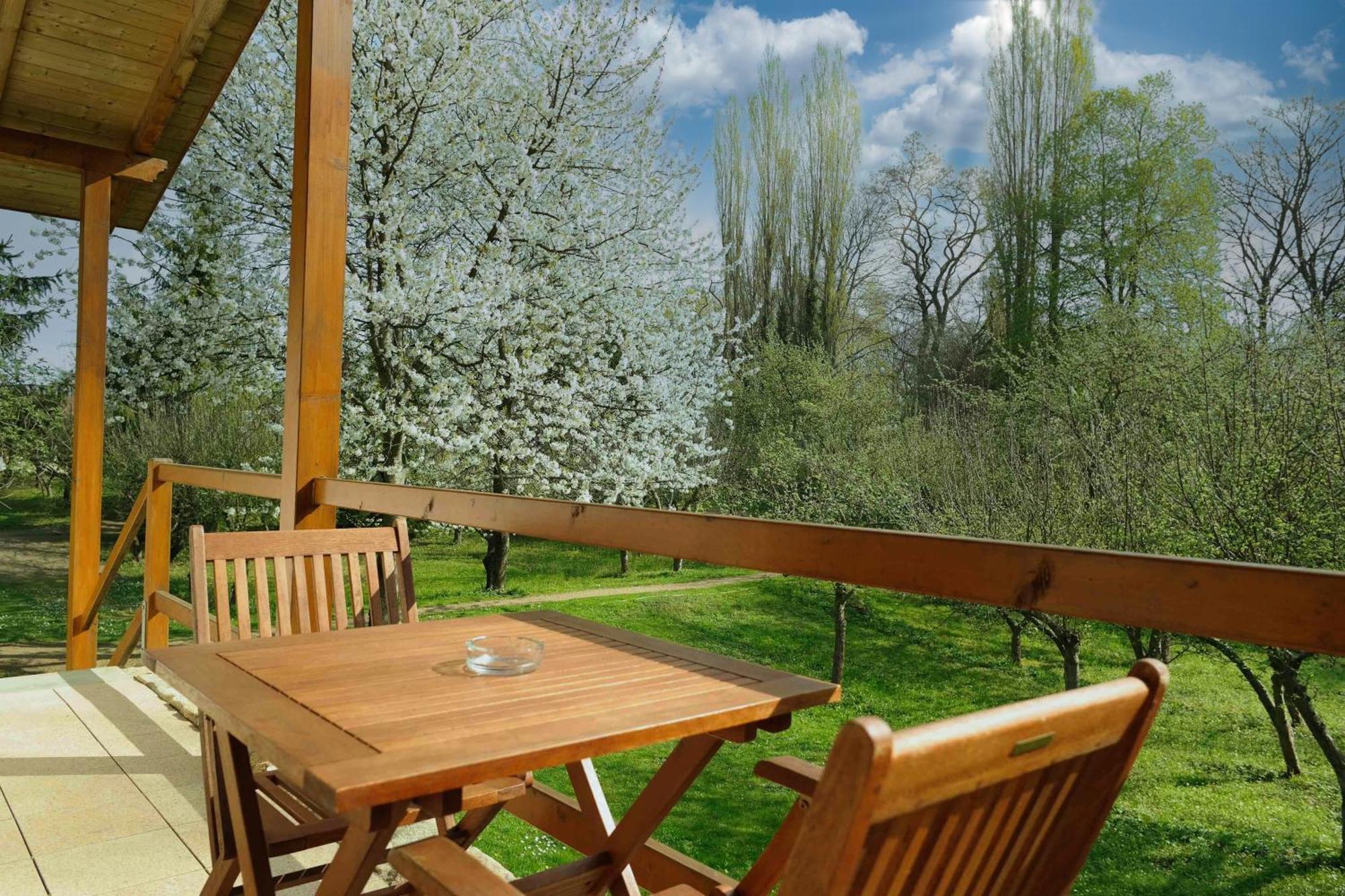 Harzer Feriengarten Quedlinburg Buitenkant foto